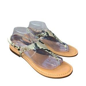 Aldo Elubrylla leather snakeskin print‎ flat buckle thong sandal. Size 10